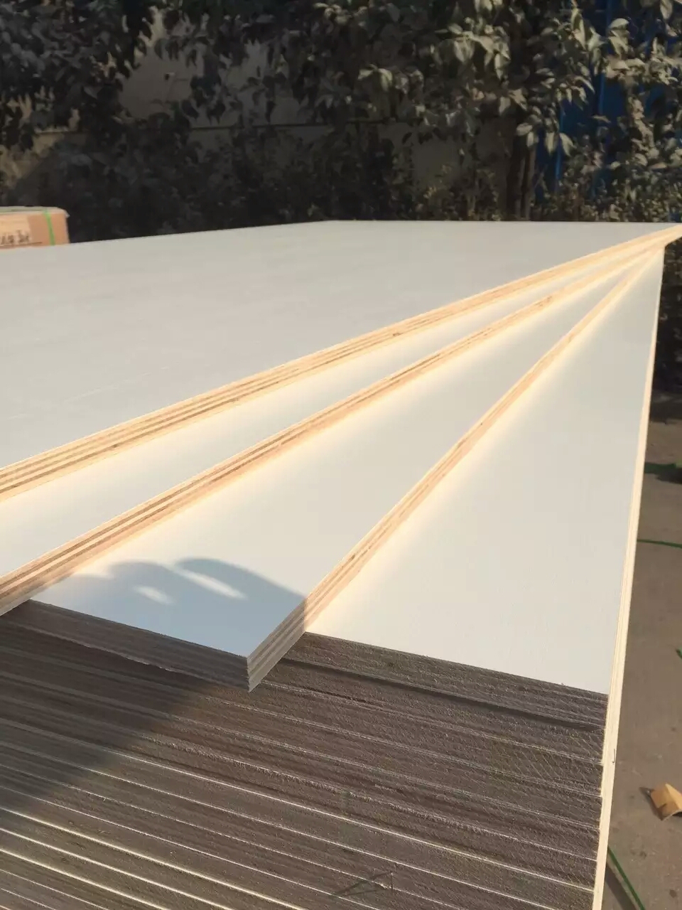 White melamine paper face plywood With Full Poplar Core