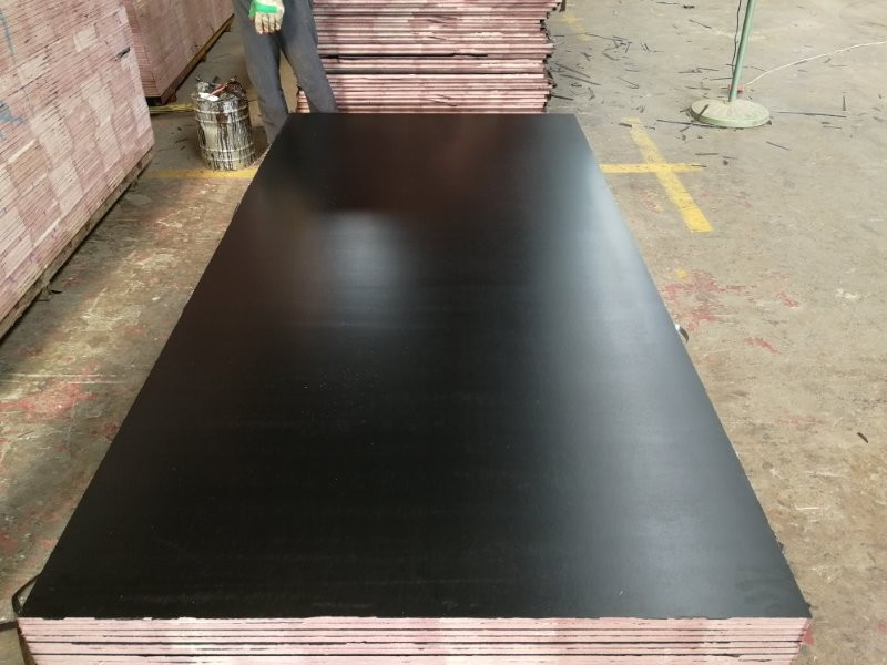 Black Film Face Plywood-37