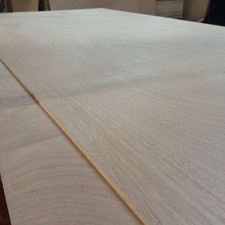 High Quality Melamine Laminated Plywood for Furniture Making and Construction Manufacturer China