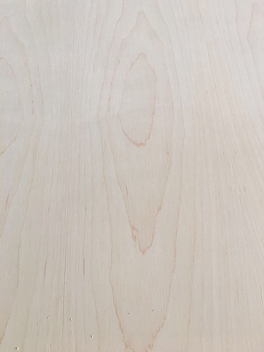 Natural Maple Veneer Faced Plywood