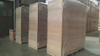 1180*2090*33mm Hollow Core Tubular Chipboard / Hollow Particle Board for Interior Door