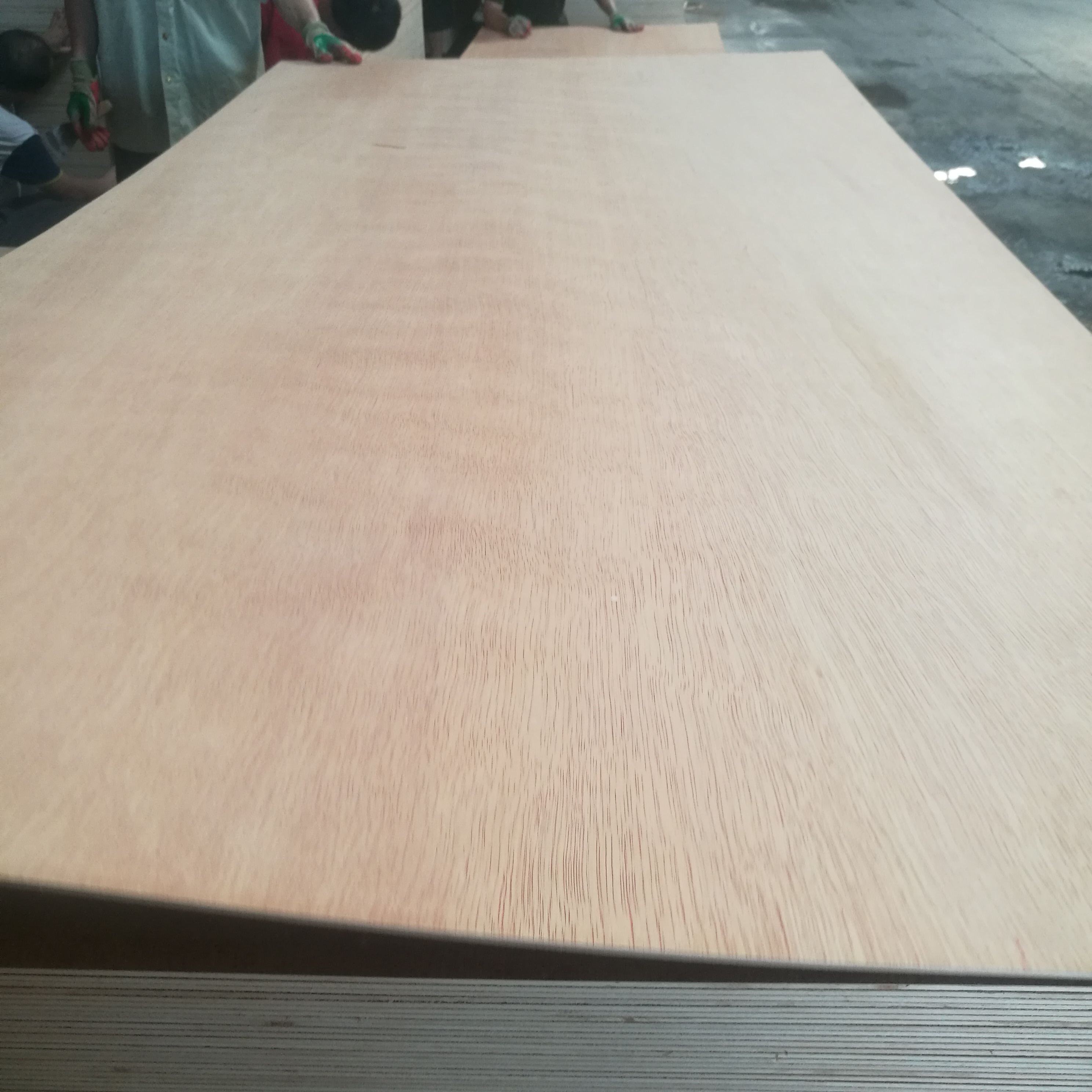 PA face plywood with sanding