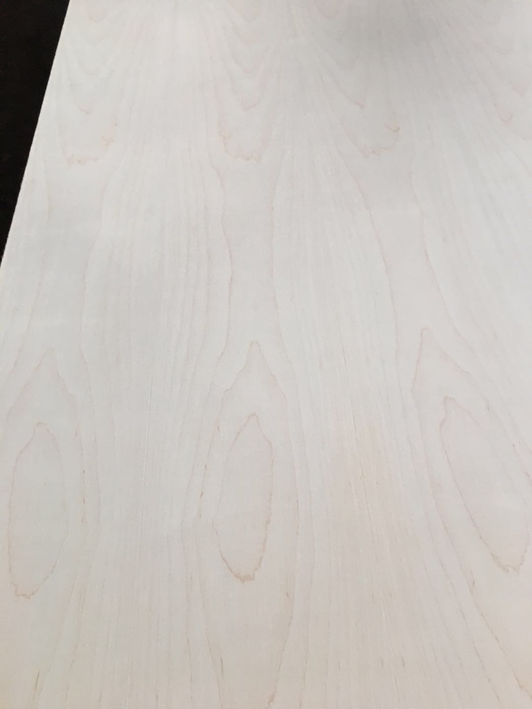 Natural Maple Veneer Faced Plywood