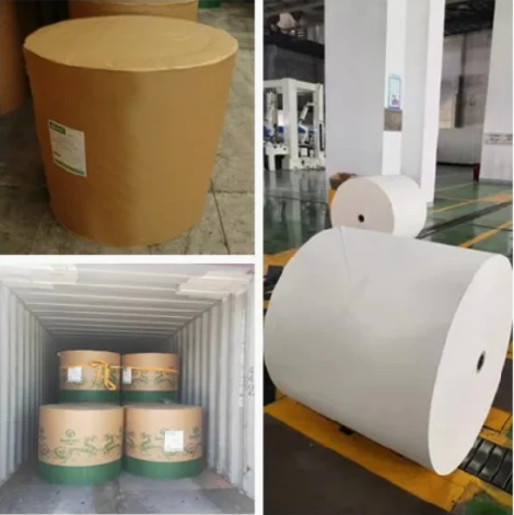 Factory Direct 100% Wood Pulp 230 250 300 350 400GSM Fbb Paper Board / Ivory Board / Folding Box Board